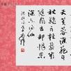 兵乱后杂诗