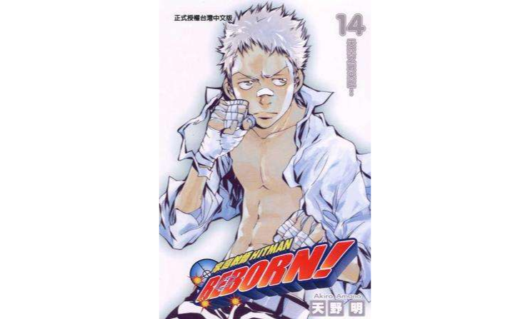 家庭教师HITMAN REBORN!(14)