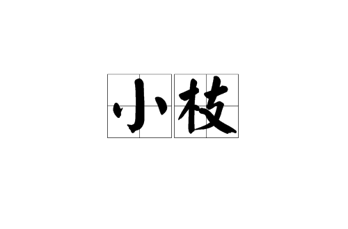 小枝(汉语辞彙)