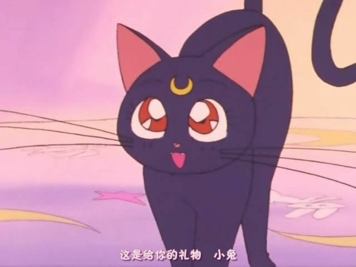露娜(日本动漫《美少女战士》中的猫)