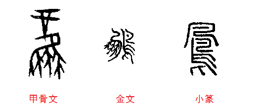 凤(汉语汉字)