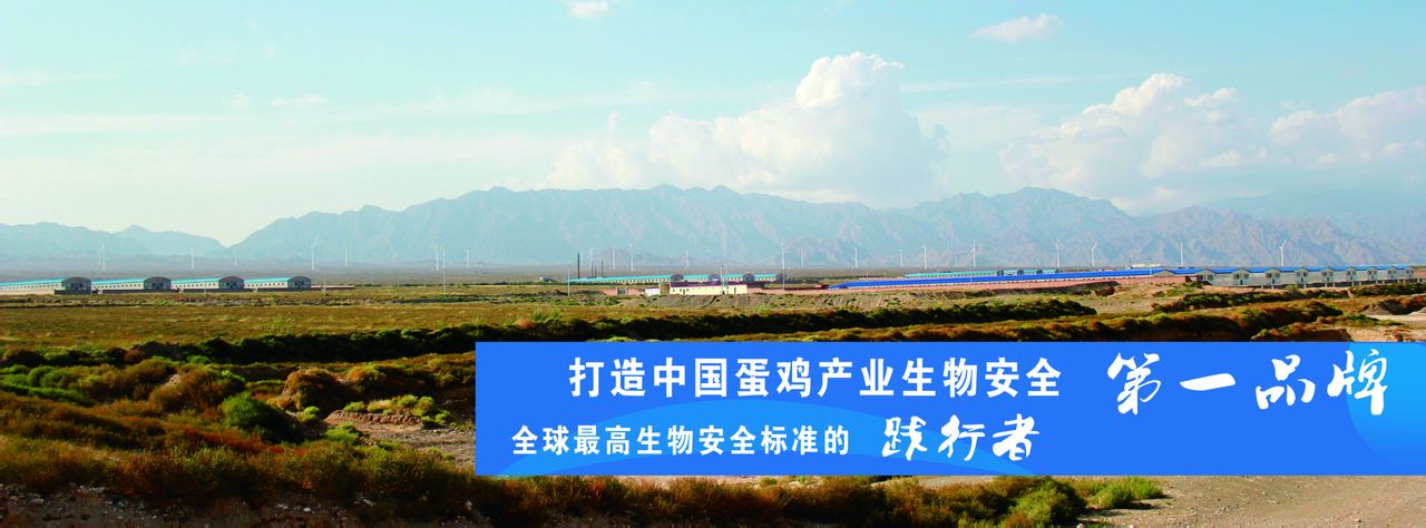 宁夏晓鸣农牧股份有限公司 宁夏晓鸣农牧股份有限公司