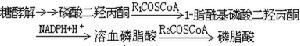软硬酸硷理论