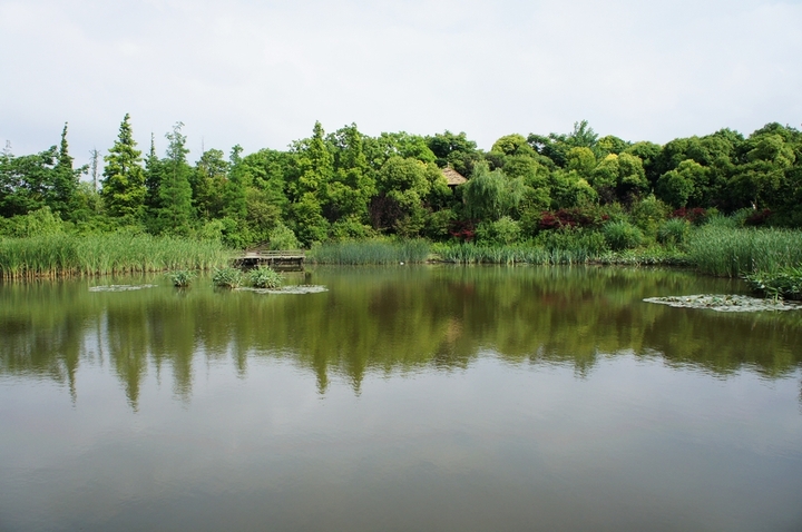 水师森林公园