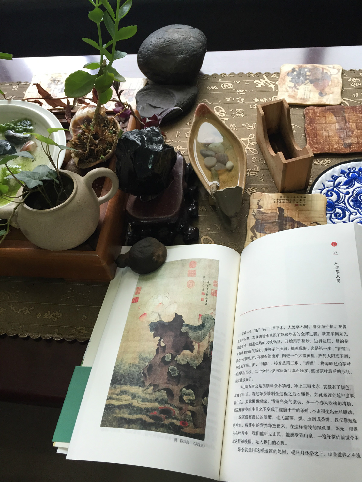 有梦不觉人生寒