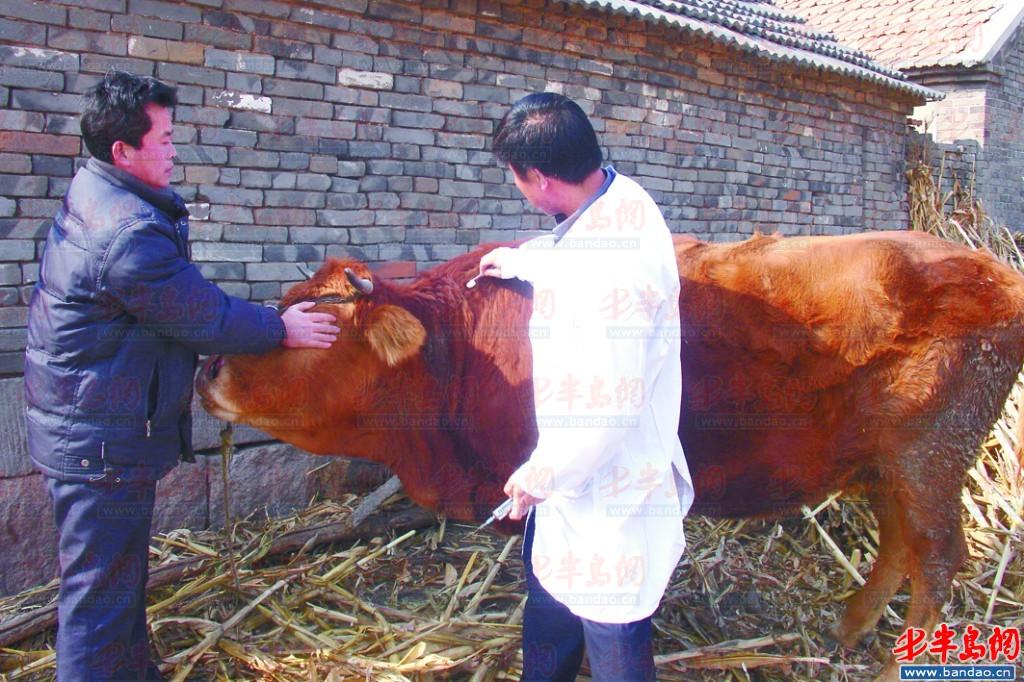 家畜家禽防疫条例实施细则