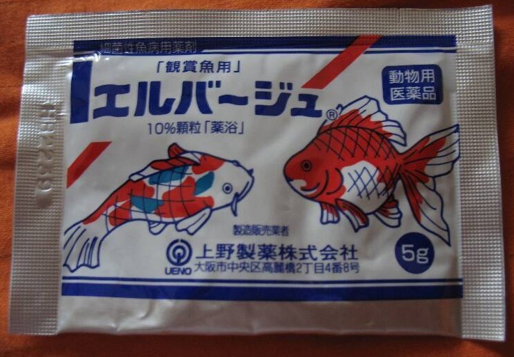 日本黄粉