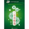 新概念钢笔精品字帖：宋词三百首精选楷书