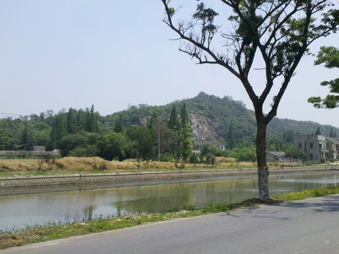 横山 横山