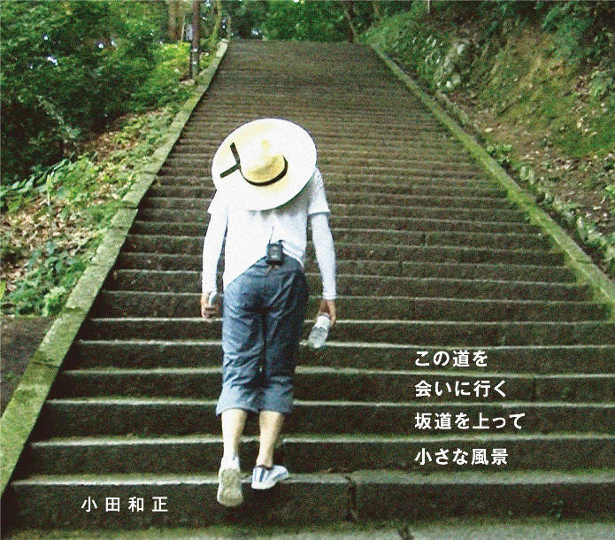 坂道上的阿波罗(日本2018年三木孝浩执导电影)