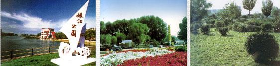 嫩江公园 嫩江公园