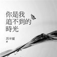你是我追不到的时光