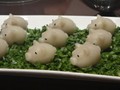 胖嘟嘟