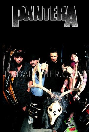 Pantera Pantera