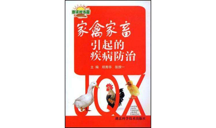 家禽家畜引起的疾病防治