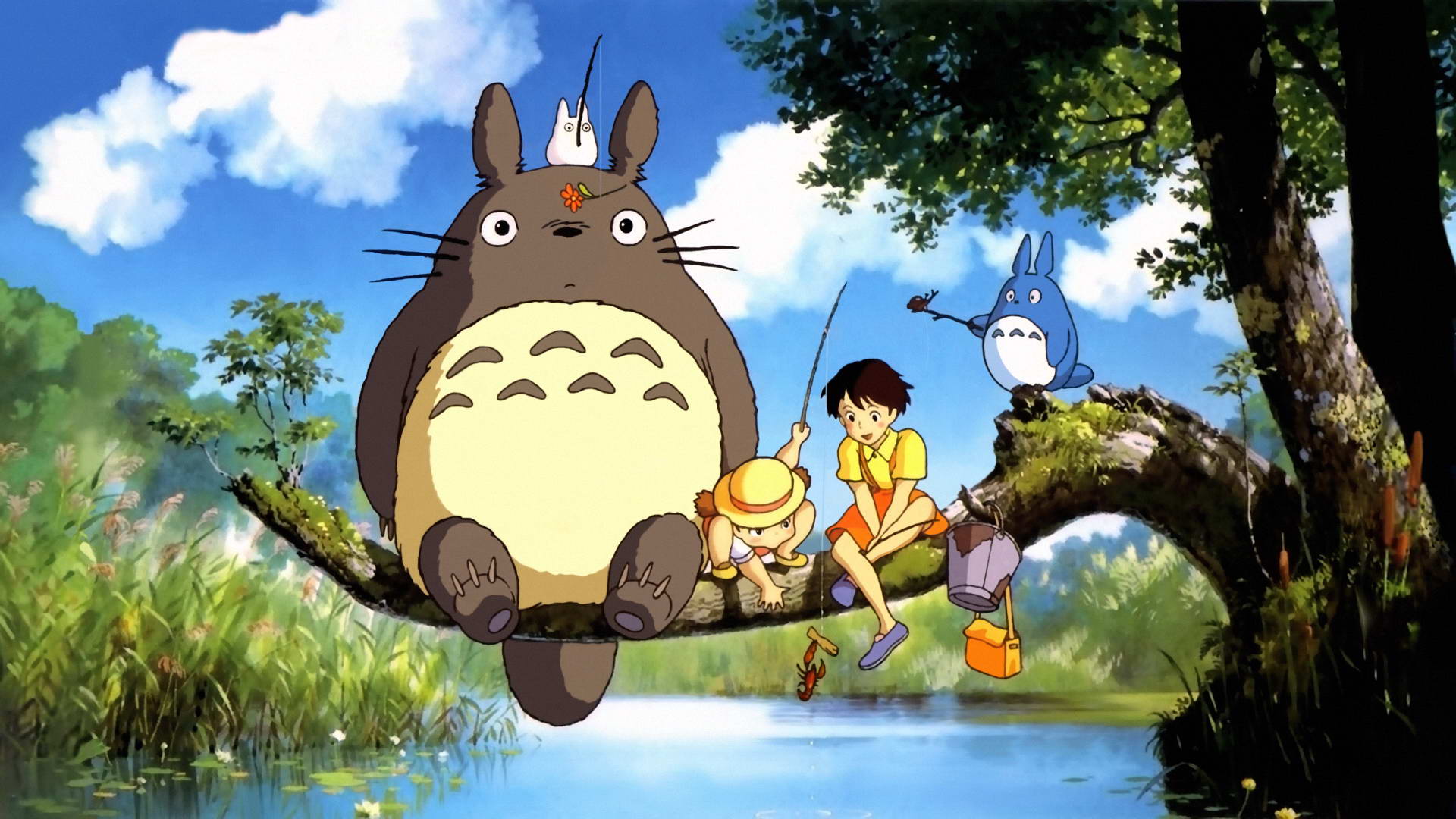 龙猫(1988年宫崎骏执导动画电影)