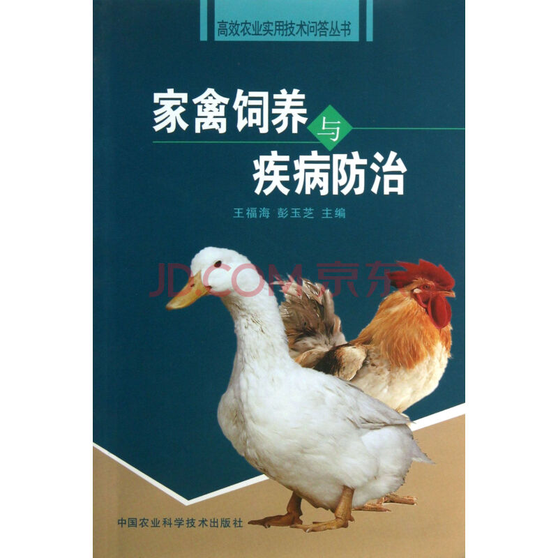 家禽饲养与疾病防治
