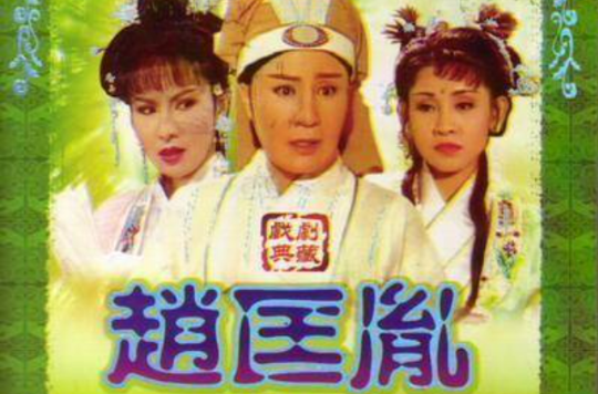 赵匡胤(1986年版叶青电视歌仔戏)
