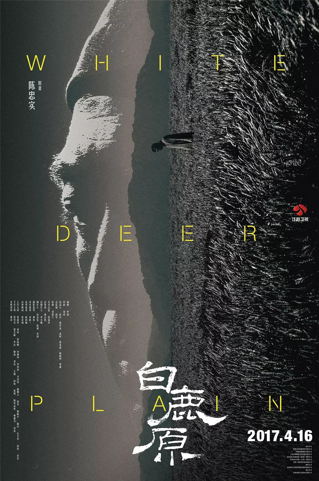 新丽传媒股份有限公司