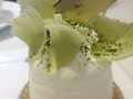 抹茶森林