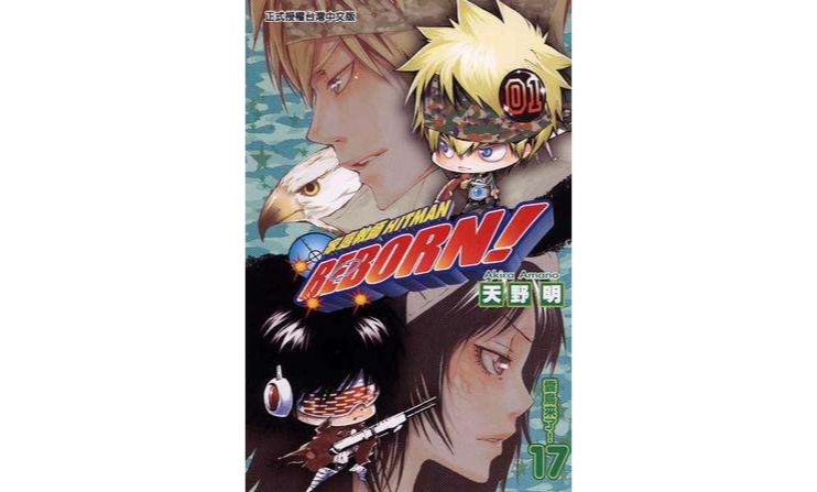 家庭教师HITMAN REBORN!(17)