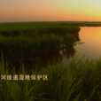 安徽萧县黄河故道省级自然保护区(黄河故道（萧县黄河故道）)