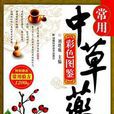 常用中草药彩色图鉴超值版