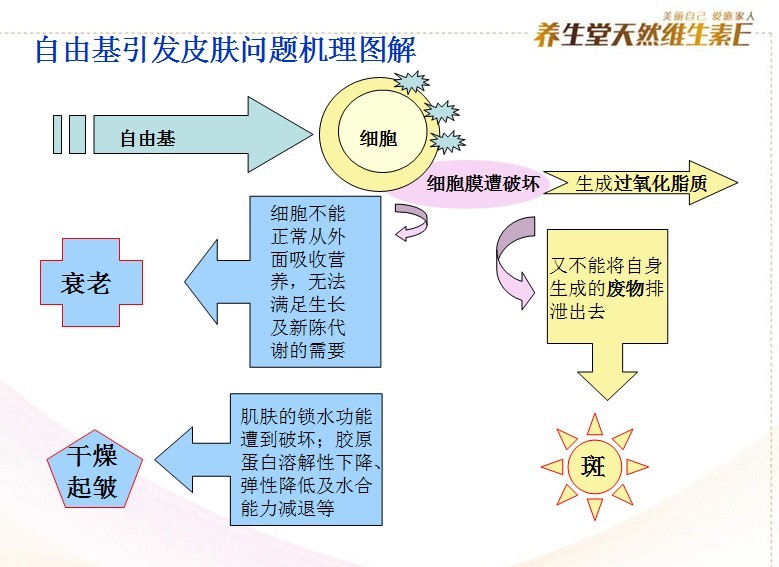 自由基引发皮肤问题机理图解