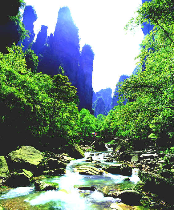 张家界旅游天气预报网