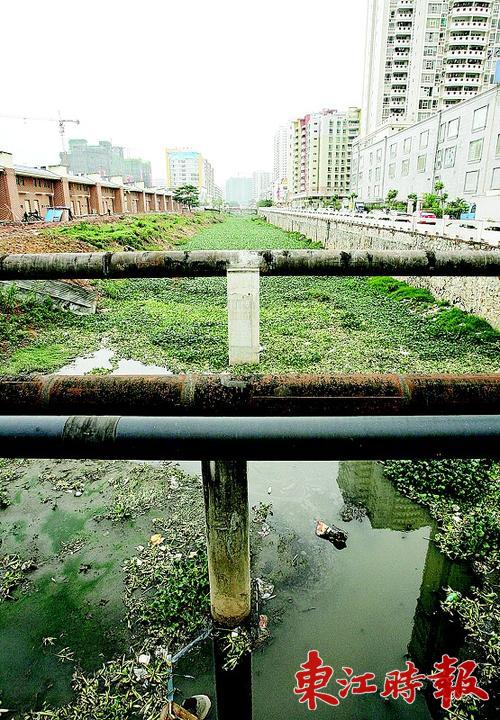 惠州市市区河涌管理规定