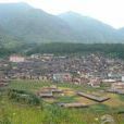 梅鹤村