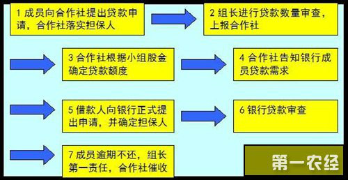 农村信用合作社(信用合作社) 农村信用合作社(信用合作社)