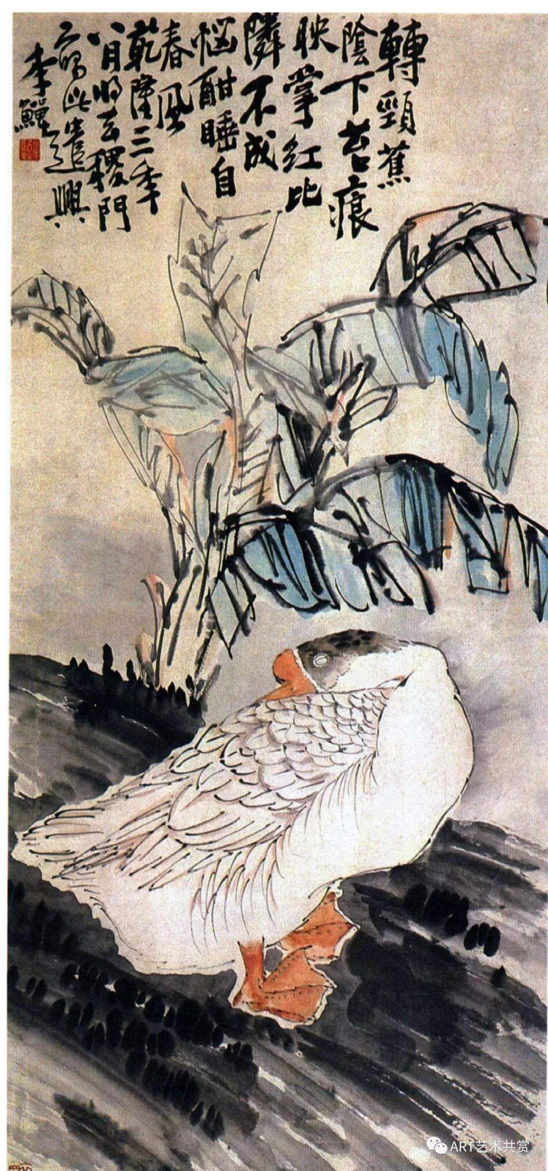 芭蕉睡鹅图