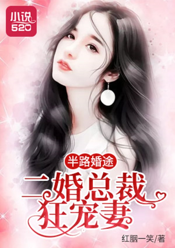 半路婚途：二婚总裁狂宠妻