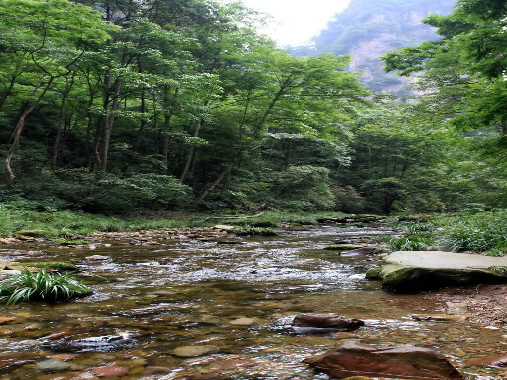 张家界乡野自主行旅游网