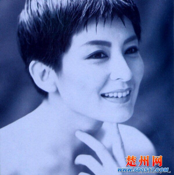 问(陈淑桦演唱歌曲)