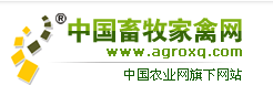 中国畜牧家禽网
