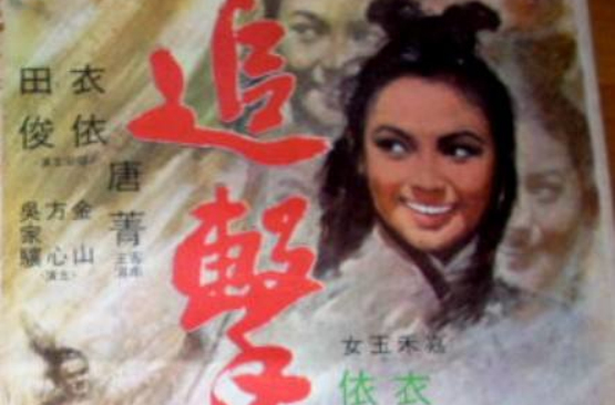 追击(1971年王天林执导香港电影)