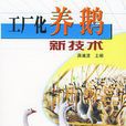 工厂化养鹅新技术