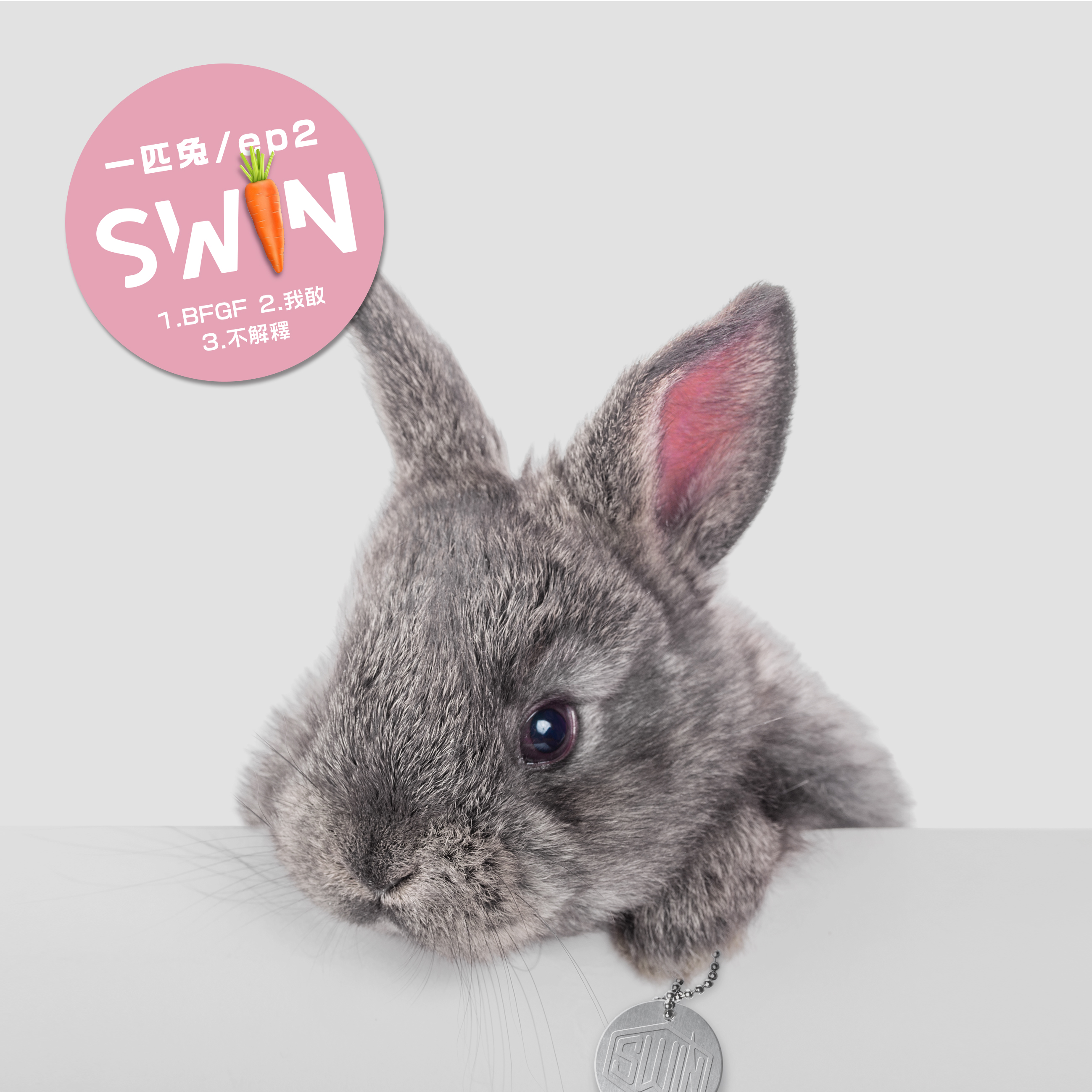 不解释(SWIN《EP2》专辑歌曲)