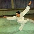 鹰爪雁行拳
