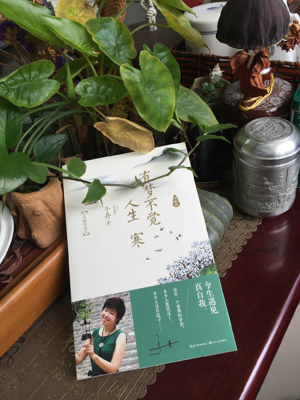 有梦不觉人生寒