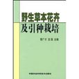 野生草本花卉及引种栽培