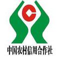 农村信用合作社(信用合作社)