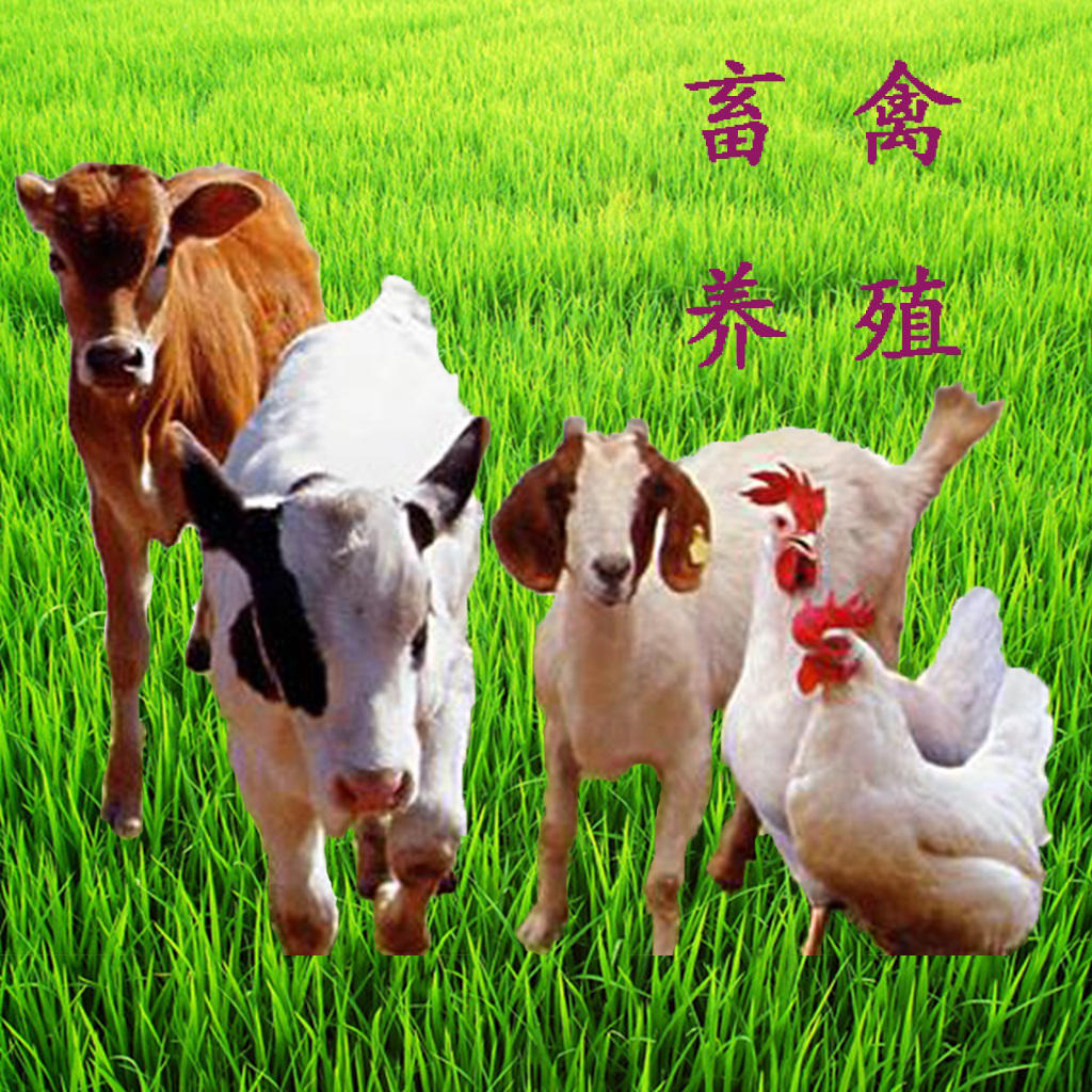 畜禽