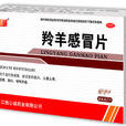 风热感冒药物