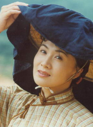 陶虹(中国内地影视演员)