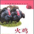 火鸡养殖技术