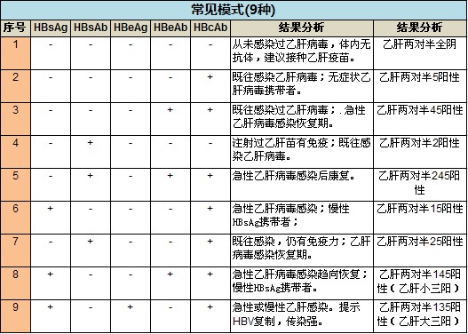 B肝二对半检查结果 B肝二对半检查结果