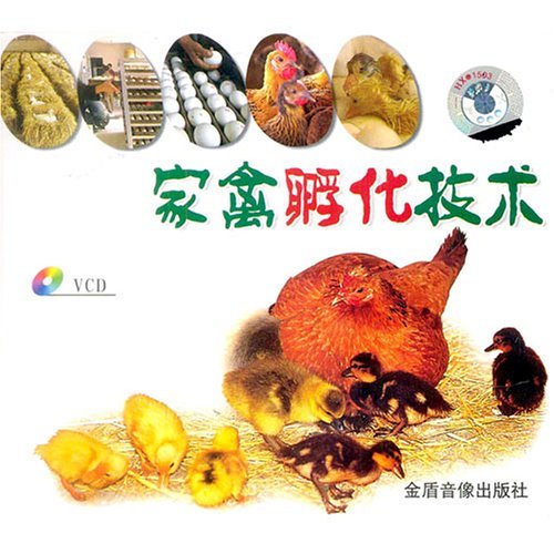 家禽孵化技术